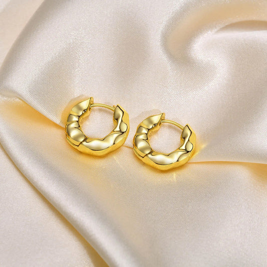 Women's Earrings Aretes para mujeres Gold Color Irregular Hoop Earrings for Women, New Trendy Girls Ear Gifts for Party Jewelry